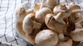 Mushrooms will stay fresh for twice as long with expert's big storage hack