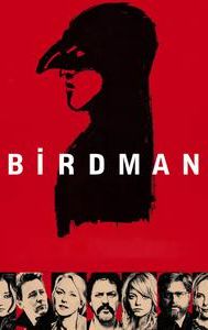Birdman or (The Unexpected Virtue of Ignorance)