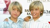 These Old Clips of Dylan and Cole Sprouse Roasting Each Other Are Internet Gold