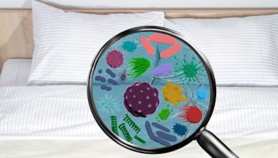 殺菌除蟎 床單該怎麼洗？生物學家教你4技巧