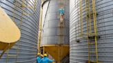 Yendo al grano: ARBA detectó 700 silos sin declarar en campos bonaerenses