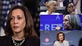 Los apoyos fundamentales con los que cuenta Kamala Harris en su carrera presidencial