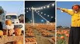 5 Caminos de Calabaza en San Diego perfectos para visitar este otoño