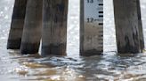 Rising Mississippi will trigger increased inspections of river levees, beginning Tuesday