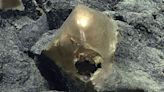 Mysterious 'Skin-Like' Golden Orb Found at Bottom of Pacific Ocean Off Alaska Coastline