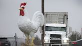 Confirmados cuatro nuevos casos de gripe aviar en Estados Unidos