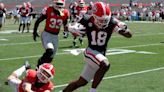 Georgia freshman wide receiver arrested for reckless driving