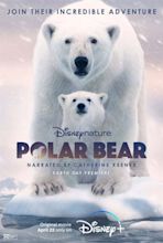 ‘Polar Bear’: Robin Holabird’s Movie Review