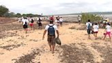 Região 4 de Pastoral promove a 2ª Caminhada Ecológica em Santarém neste domingo, 2