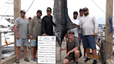 ‘It was awesome’: Blue marlin weighing over 500 lbs caught during SC Blue Marlin Invitational