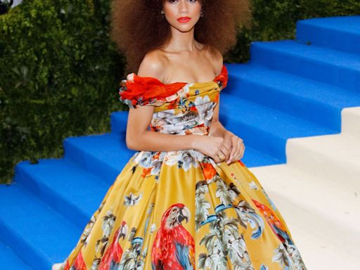 The 2024 Met Gala "Garden of Time" Theme and Dress Code, Explained - E! Online