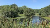 Walking RI: Discover a hidden gem of forest, ponds and wetlands in Little Compton