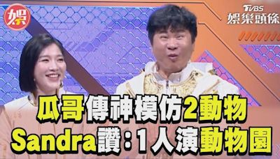 影音／胡瓜神模仿「2動物」 Sandra讚翻：1人演完動物園│TVBS新聞網