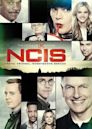 NCIS season 15