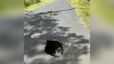 Repairs under way on sinkhole on rural road