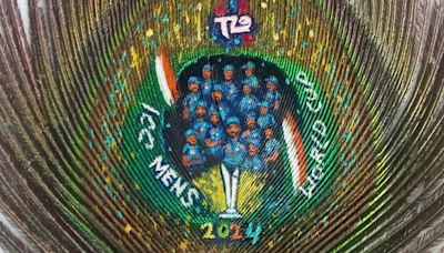 Cricket lovers celebrate T20 World Cup win