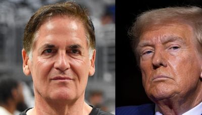 Mark Cuban wants Trump supporters to tell him what startups their man has backed that didn't involve a member of the Trump family