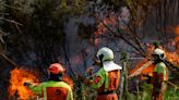 Spain's Asturias ravaged by fires as authorities blame 'terrorist' arsonists