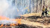 Forest rangers conduct controlled burns on 261 acres across New York State