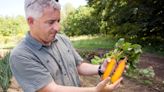 UW professor is on a mission to grow a better-tasting beet