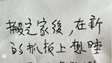 藍白拚三讀「擴權法」！蔡英文親筆字條藏玄機 網驚：把自己當貓在掛念