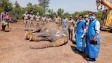 Ailing elephant dies at rehabilitation centre in Tiruchi