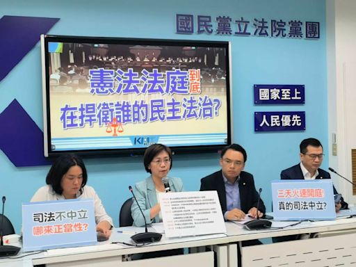 轟憲法法庭不公 翁曉玲怨「圍毆」、「武器不對等」