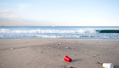 July 5th Is The Dirtiest Beach Day of the Year