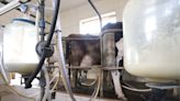 Boletim Agropecuário desta semana analisa os preços do leite no Paraná | TNOnline