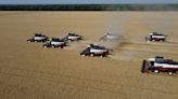 Russian farmers fight to salvage harvest as major region cuts forecast