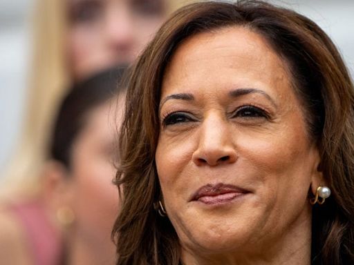 Who Kamala Harris picks for her running mate will show where her campaign sees its path to victory