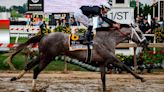 What to know about Seize the Grey: Trainer, owner, name origin and more for 2024 Preakness Stakes winner | Sporting News