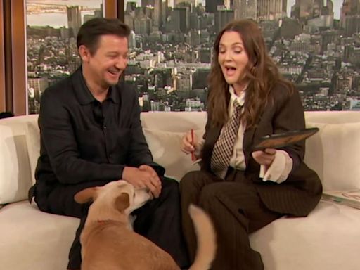 Drew Barrymore's dog gets "turned on" by Jeremy Renner in "super awkward" 'Drew Barrymore Show' moment