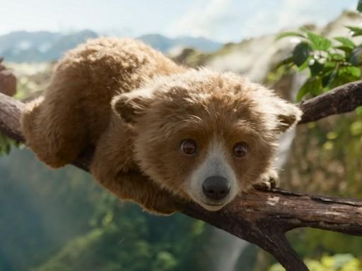 Paddington in Peru declared 'movie of the year' thanks to adorable new trailer