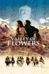 Valley of Flowers (film)
