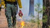 Coconino National Forest plans prescribed burns week of April 29, smoke likely visible around Flagstaff