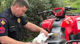 Harris County deputy constable rescues great egret tangled up in fishing line