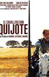 Don Quixote, Knight Errant