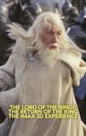 The Lord of the Rings: The Return of the King