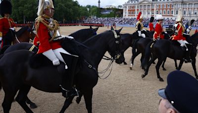 Military horses ran loose through the streets of London once again