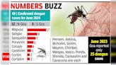 140% spike in dengue cases in state this June over past year | Goa News - Times of India