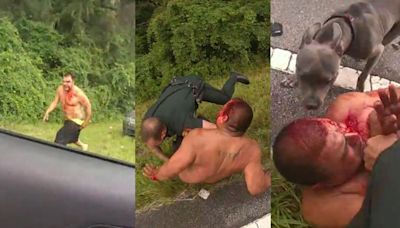 Bloody Florida man allegedly sics pit bull on deputies during chaotic roadside takedown