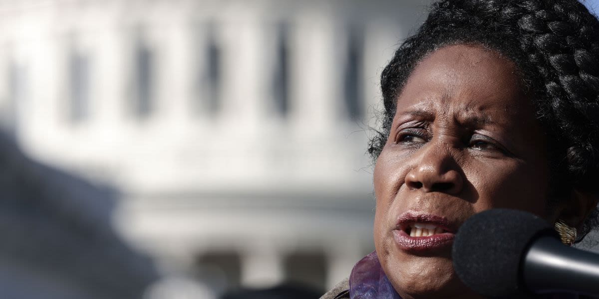Ballot replacement for Sheila Jackson Lee to be chosen by Democratic precinct chairs