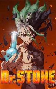 Dr. Stone