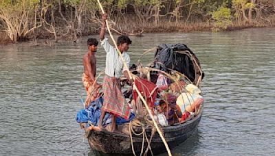 Fishing boat permits in Sunderbans forests under scanner