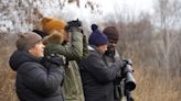 Smith: BIPOC bird club gathers at Hopkins Hollow in Milwaukee for Christmas Bird Count