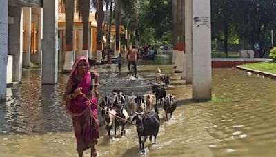 Flood alert in Bihar after release of water from Valmikinagar, Birpur barrages