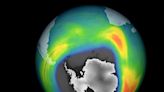 Ozone hole over Antarctica grows to one of the largest on record, scientists say