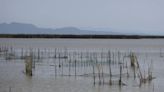 València demanda al ministerio por la falta de aportación hídrica a la Albufera