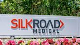 Boston Scientific spends $1.26bn to acquire TCAR specialist Silk Road Medical